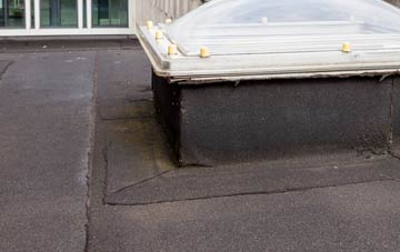disadvantages of Glasphein flat roofs