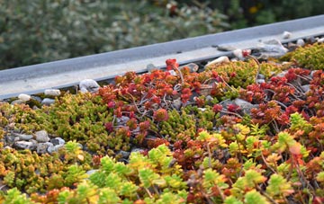 the cost of Glasphein green roof installation
