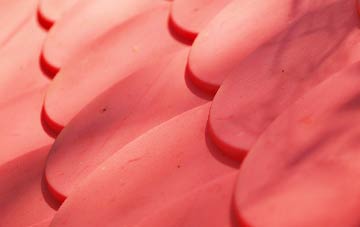 Glasphein plastic roof costs