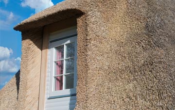 Glasphein thatch roof disadvantages